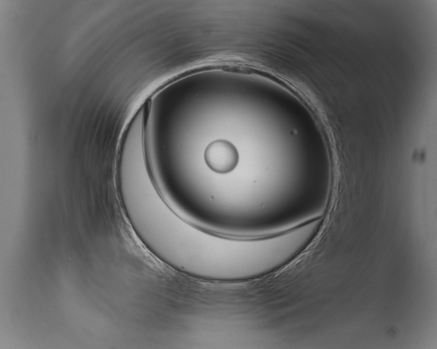 X0000113291296200909211055