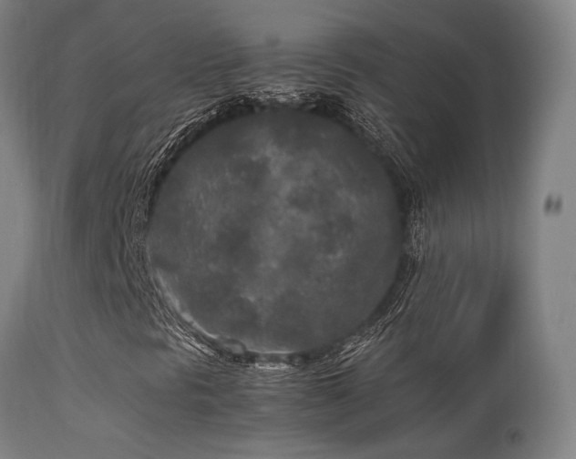 X0000113291297200909211054