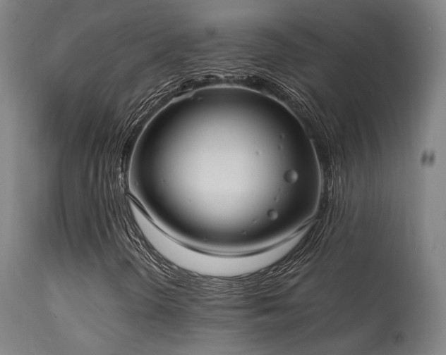 X0000113291298200909211054