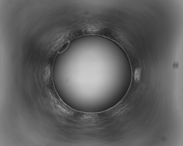 X0000113291299200909211054