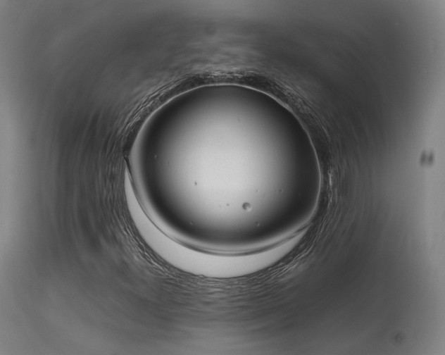 X0000113291300200909211054