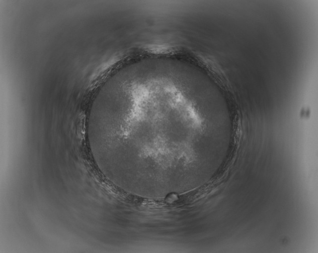 X0000113291301200909211054