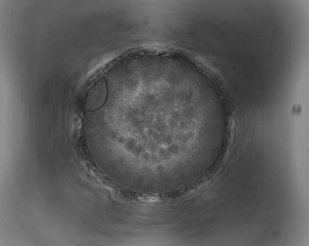 X0000113291302200909211054