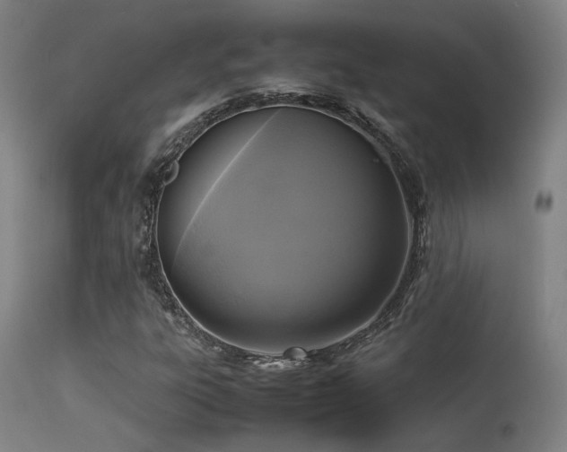 X0000113291303200909211054