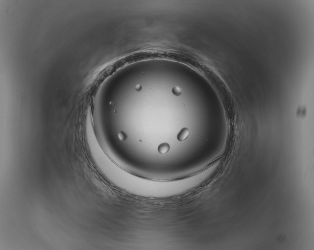 X0000113291304200909211054