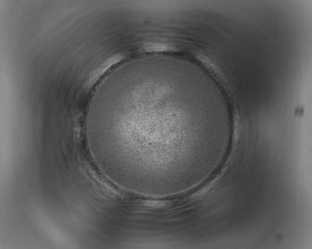 X0000113291305200909211054