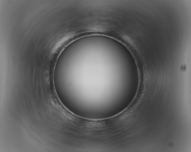 X0000113291307200909211054