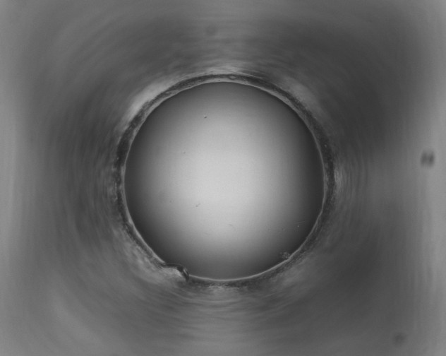 X0000113291308200909211054