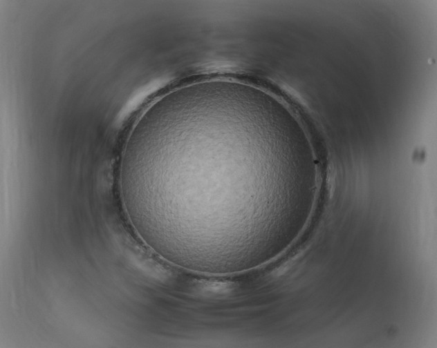 X0000113291309200909211054