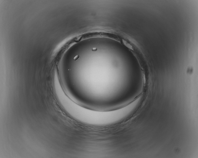 X0000113291310200909211054