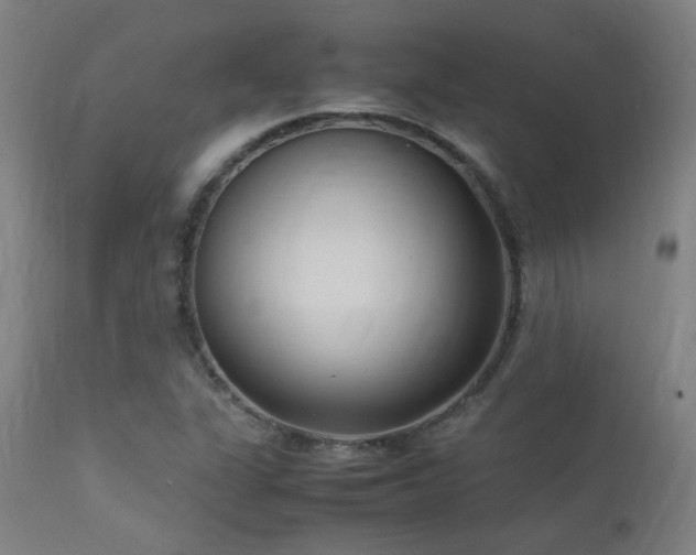 X0000113291311200909211054