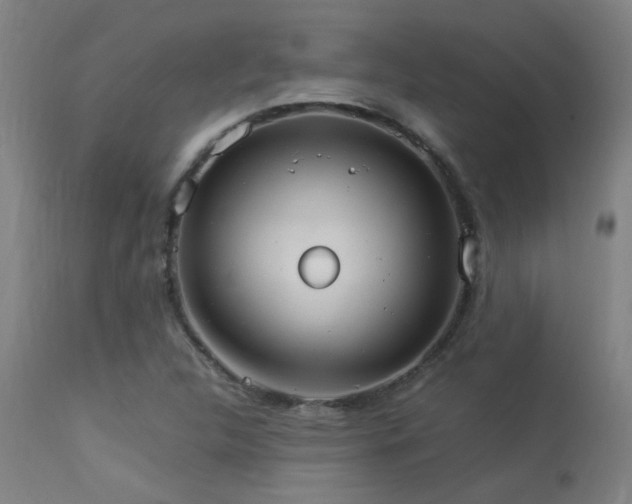 X0000113291312200909211054