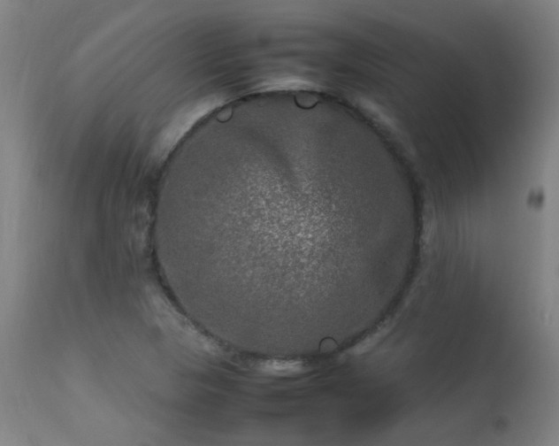 X0000113291313200909211054