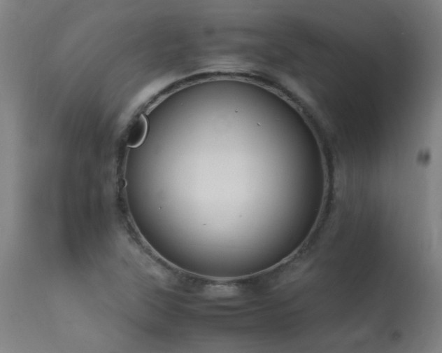 X0000113291315200909211054