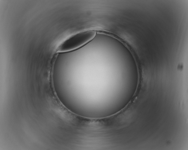 X0000113291316200909211054