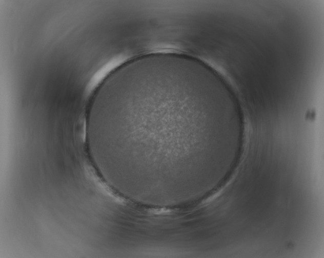 X0000113291317200909211054