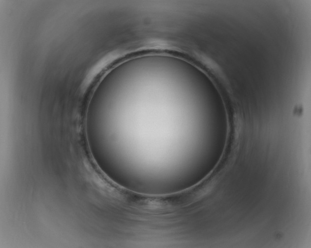 X0000113291318200909211054