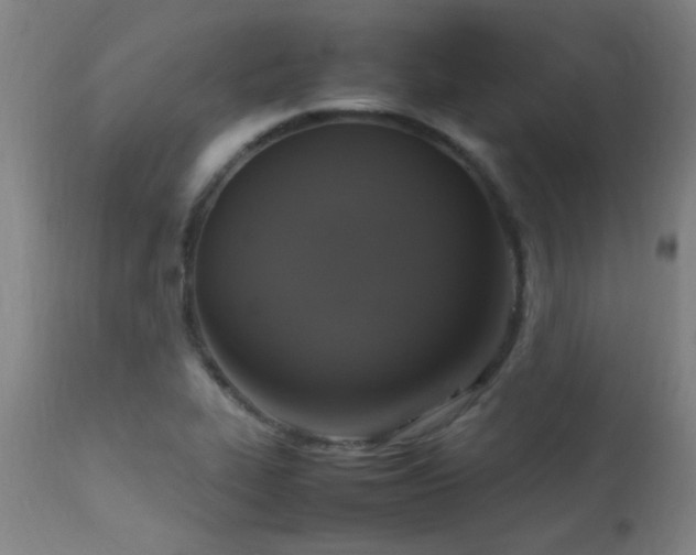 X0000113291319200909211054