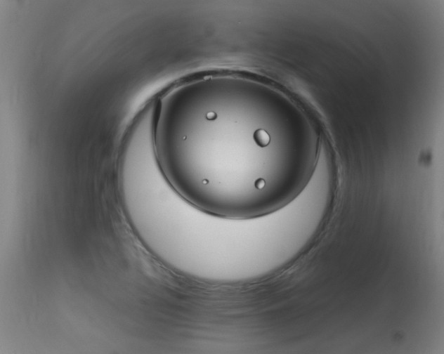 X0000113291320200909211054