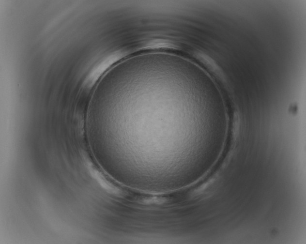 X0000113291321200909211054