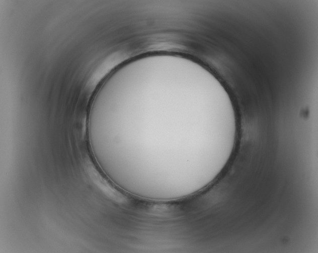 X0000113291322200909211054