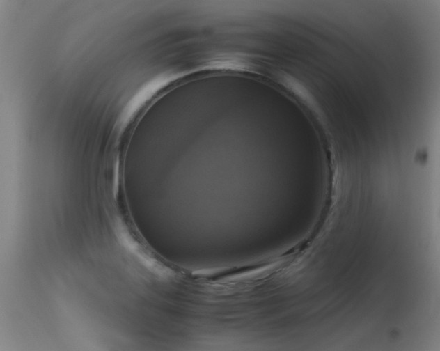 X0000113291323200909211054