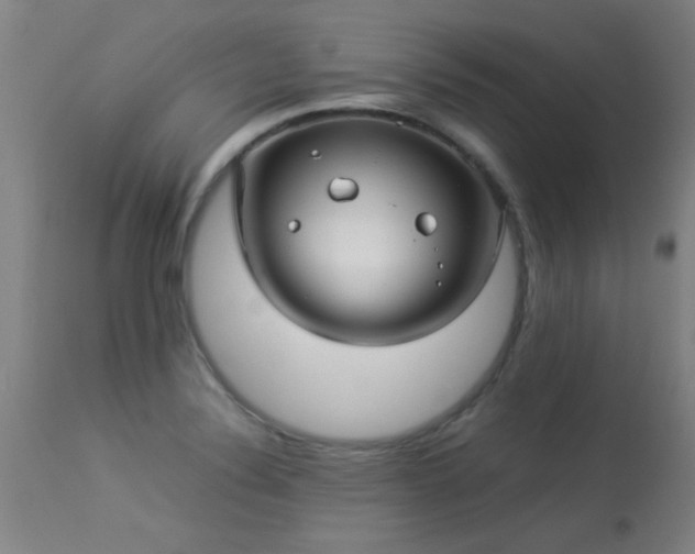 X0000113291324200909211054