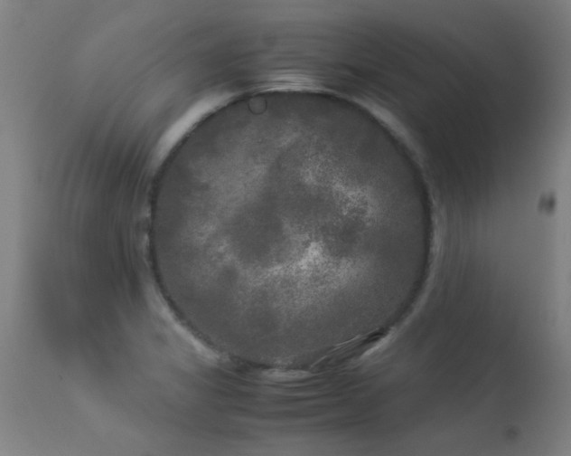 X0000113291325200909211054