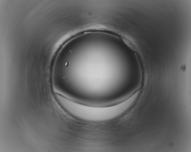 X0000113291326200909211054