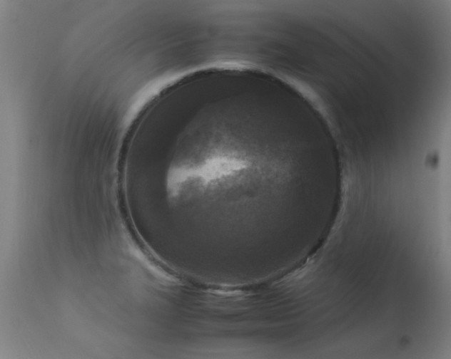 X0000113291327200909211054