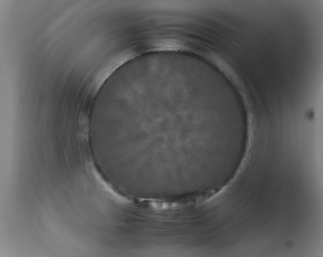 X0000113291329200909211054