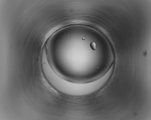 X0000113291330200909211054