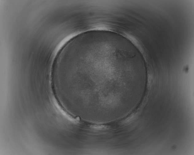 X0000113291331200909211054