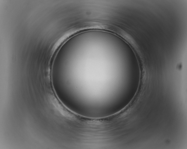 X0000113291332200909211054