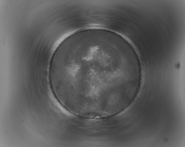 X0000113291333200909211054