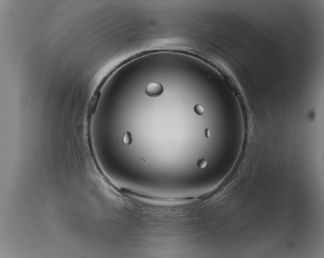 X0000113291336200909211055