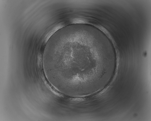 X0000113291337200909211055