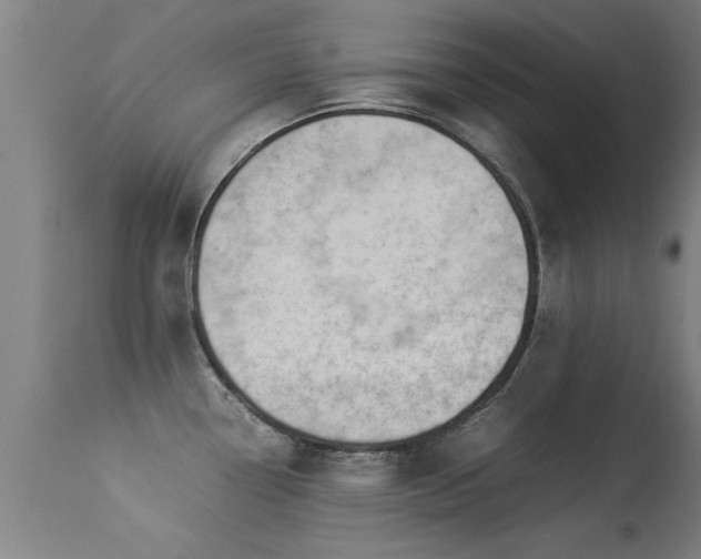 X0000113291338200909211055