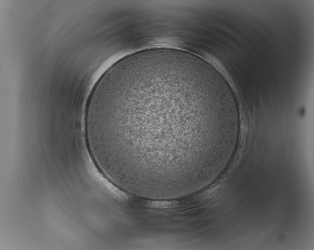 X0000113291339200909211055