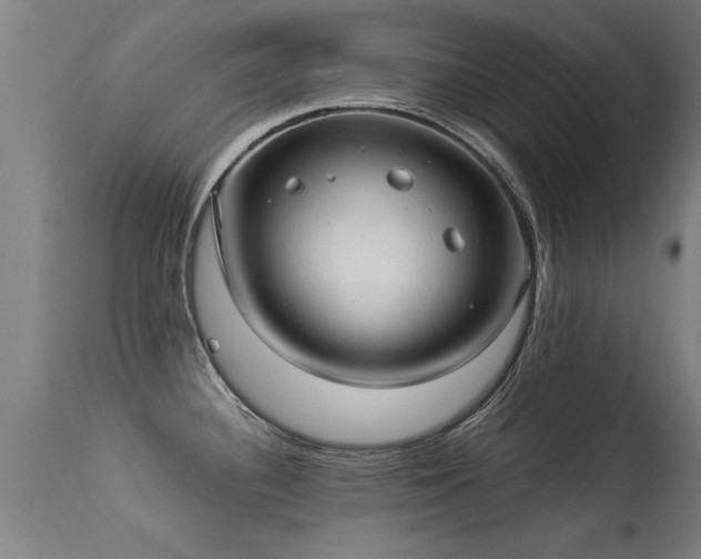 X0000113291340200909211055