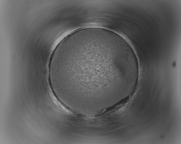 X0000113291341200909211055