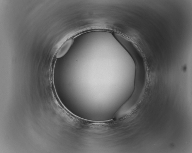 X0000113291342200909211055