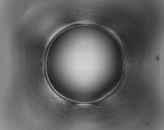 X0000113291343200909211055