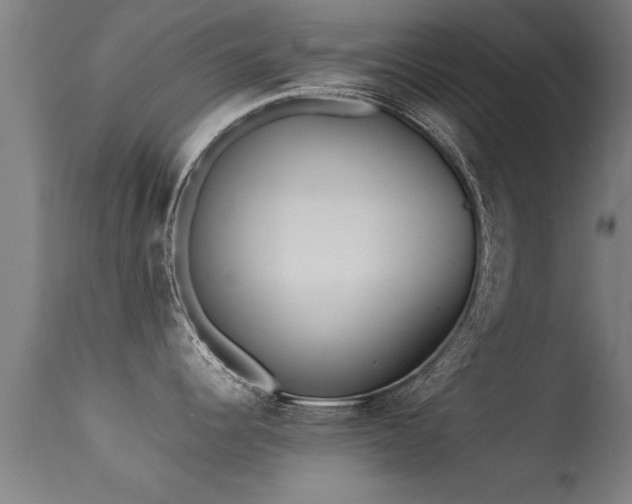 X0000113291344200909211055