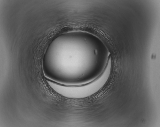 X0000113291345200909211054