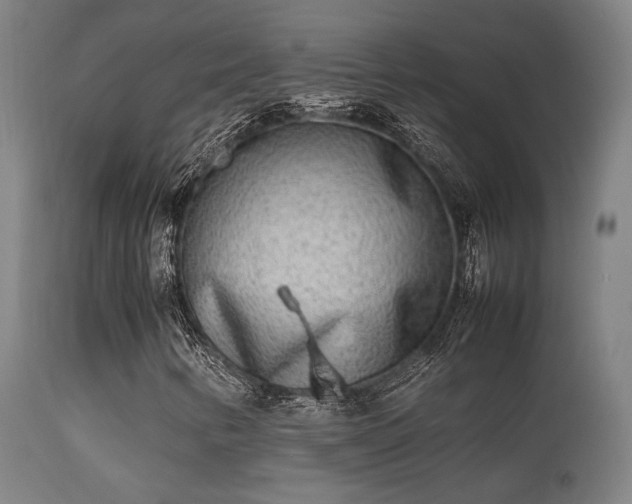 X0000113291346200909211054