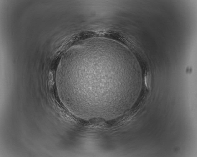 X0000113291347200909211054