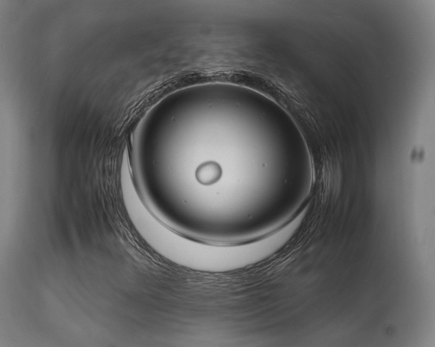 X0000113291348200909211054