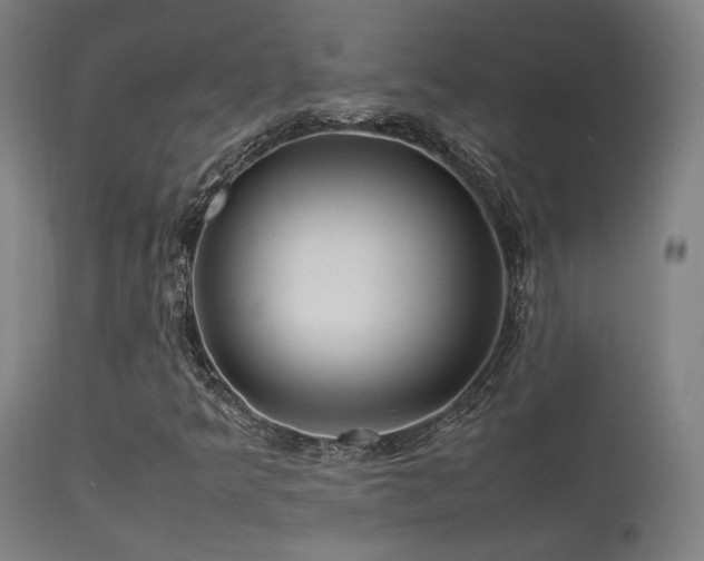 X0000113291349200909211054