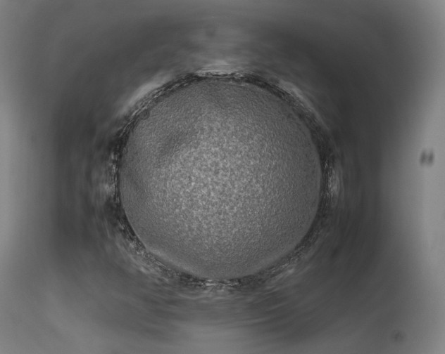 X0000113291350200909211054